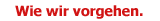 Wie wir vorgehen